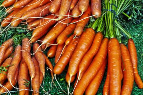 Carrot Vegetables