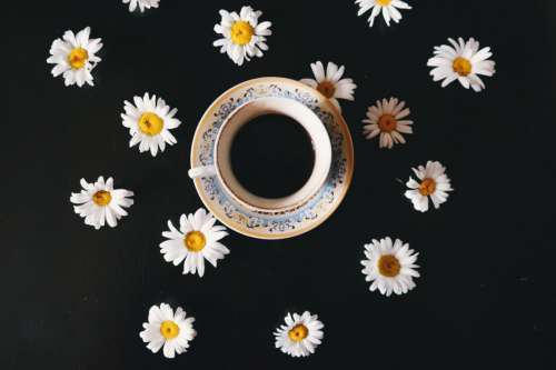 Coffee & Flowers