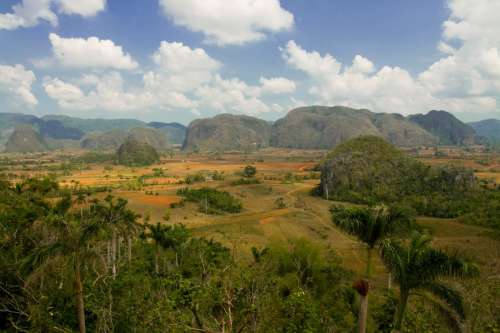 Cuban Landscape