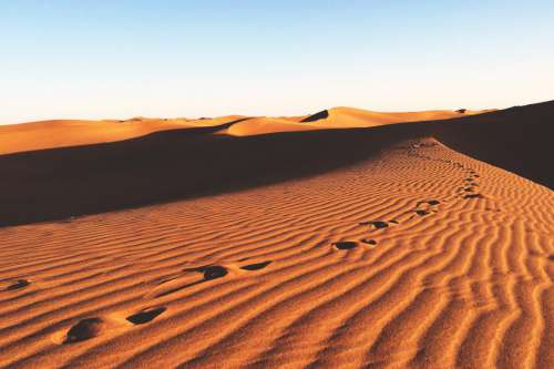 Desert Sand Dunes