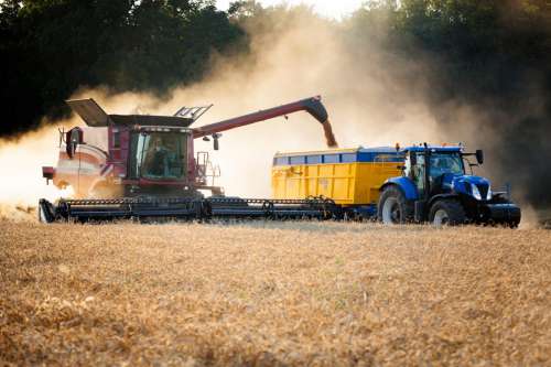 Farm at Harvest