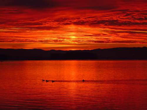 Red Sunset Lake