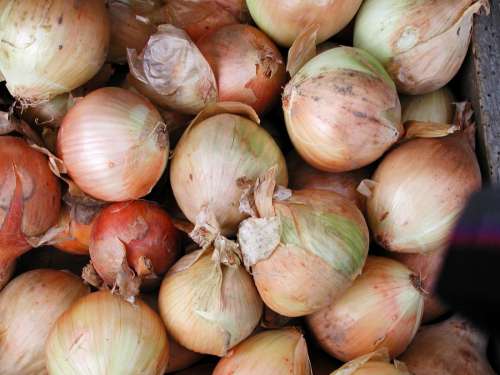 Onions Farmers Market