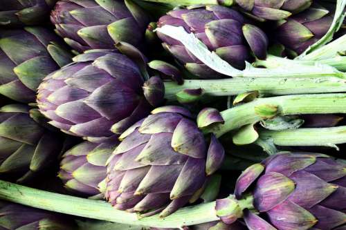 Artichokes