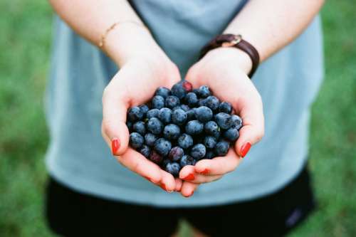 Holding Blueberries
