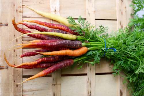 Organic Carrots