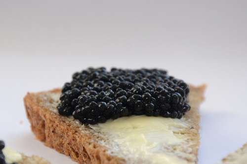 Caviar on Bread