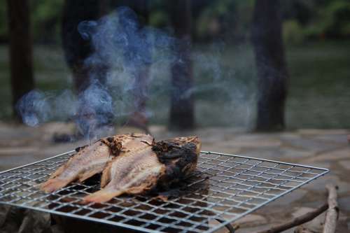 Fish on BBQ Grill