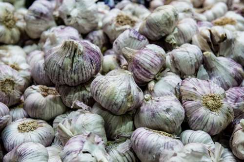 Raw Garlic