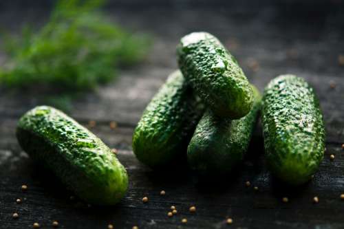 Gherkins Cumcumbers