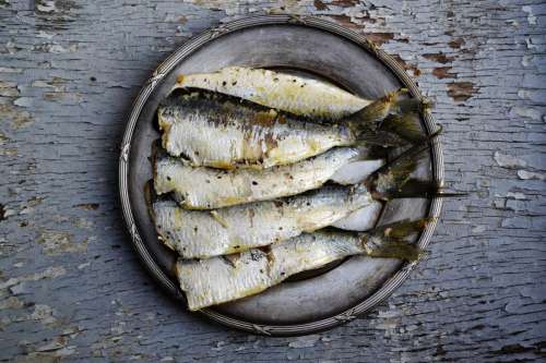 Sardines Fish