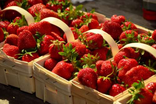 Strawberry Boxes