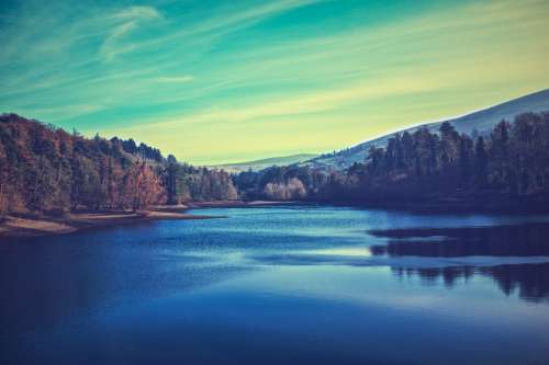 A Lake In A Forest