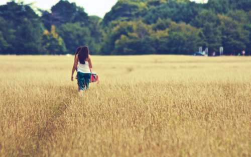 Path Through the Field