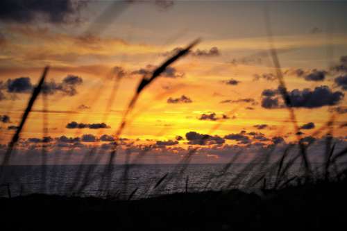 Seascape Sunset