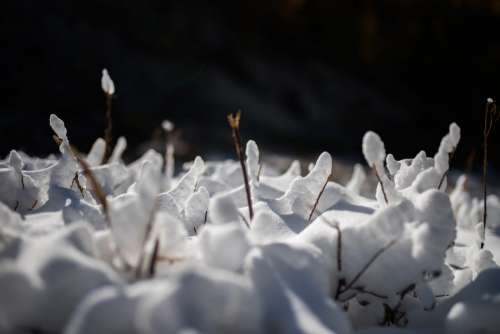 Snow in the Mountains