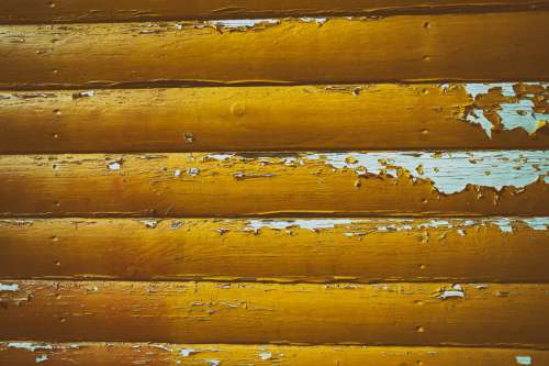 Yellow Paint Texture