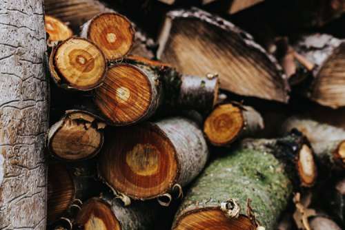 Wooden logs