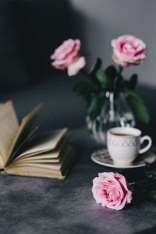 Lovely roseses, book and coffee