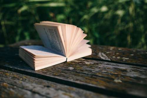 Reading book at lake