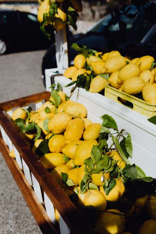 Lemons from Sorrento, Italy