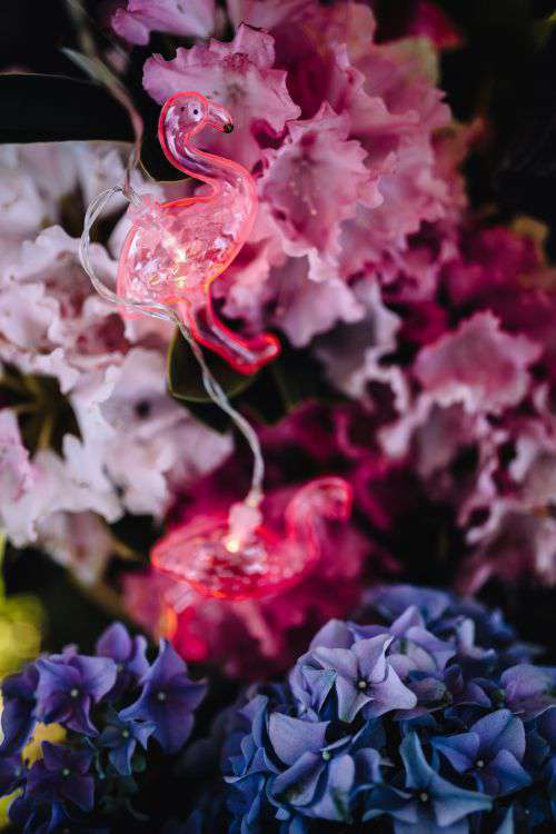 Flamingo light garland & pink flowers