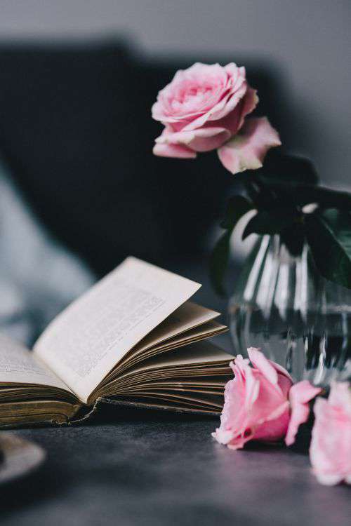 Lovely roseses, book and coffee