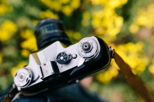 Woman with vintage camera in the field of blooming rapes