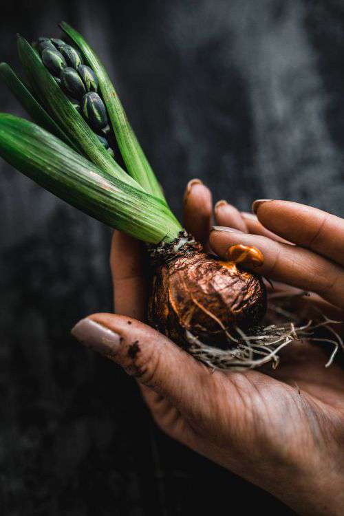 Woman making a little ornamental seedling in a small jar