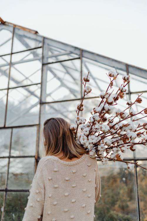 A beautiful tall woman holds cotton branches