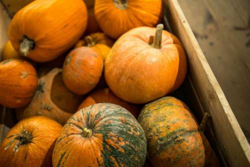 Close-ups of pumpkins in a wooden box