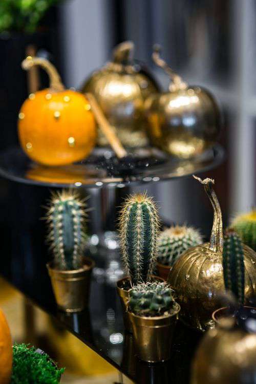 Golden ornamental pumpkins with cactuses