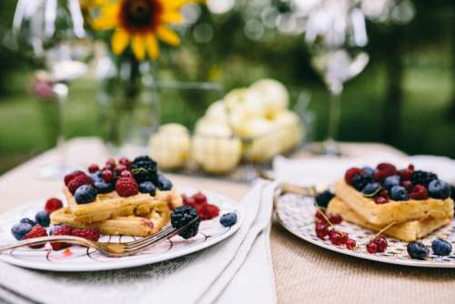 Healthy lunch in the garden