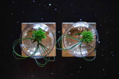 Little grass bundle with a ribbon in a glass jar