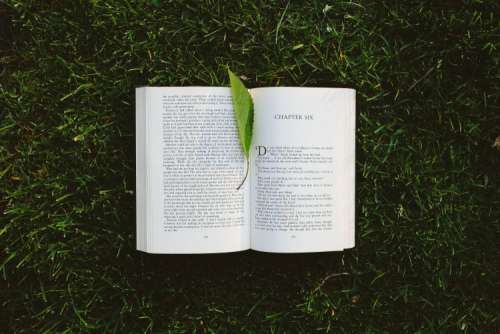 Book on the grass