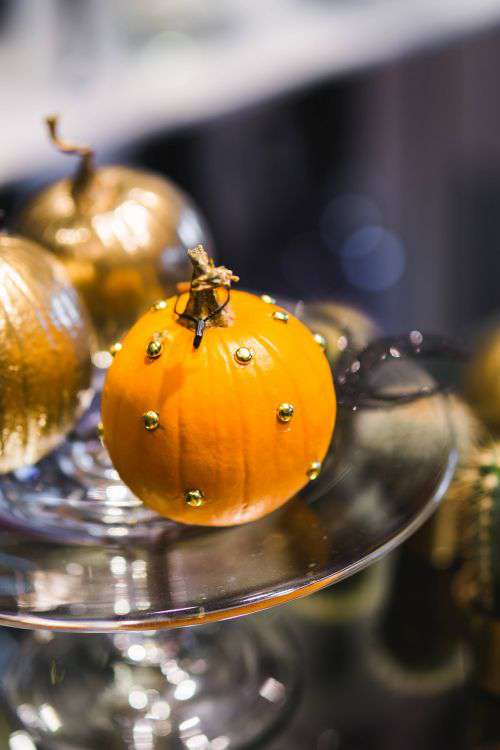 Golden ornamental pumpkins with cactuses