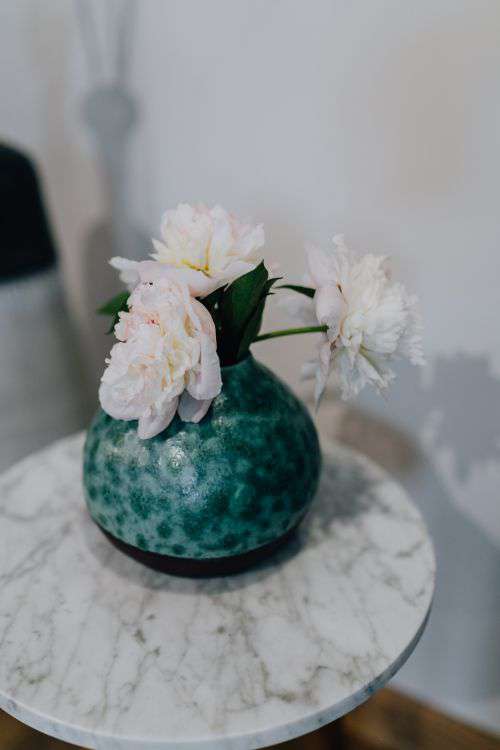 Peony flowers in vase