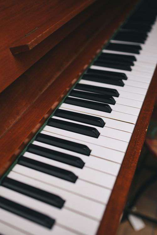 The piano keyboard