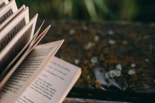 Reading book at lake