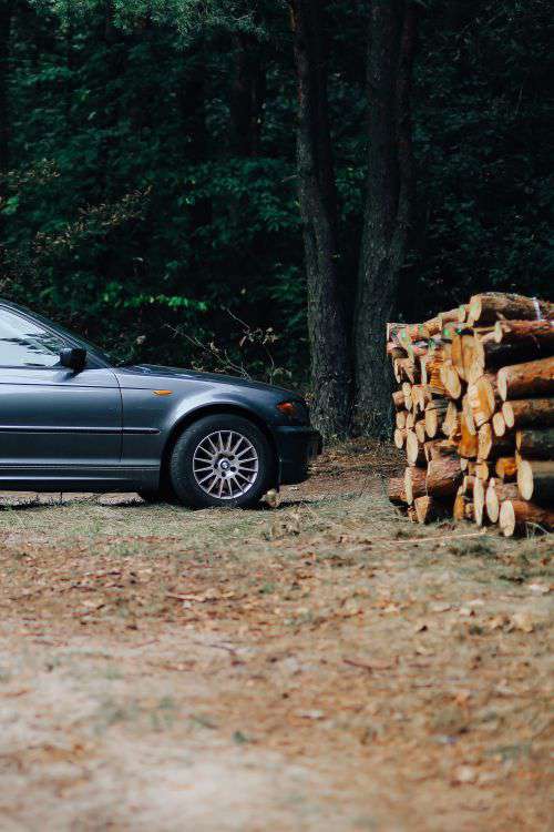 Car trip through fields and forests