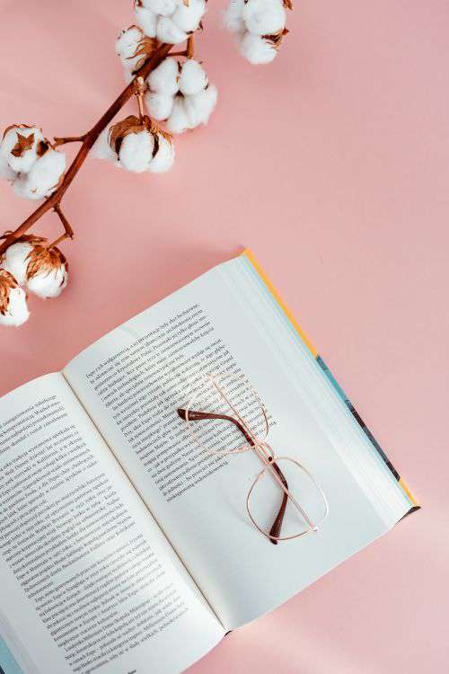 Open book on a pink background