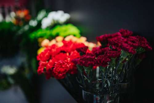 Collection of colourful flower bouquets