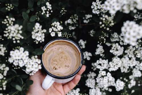 Morning coffee outdoors in the garden