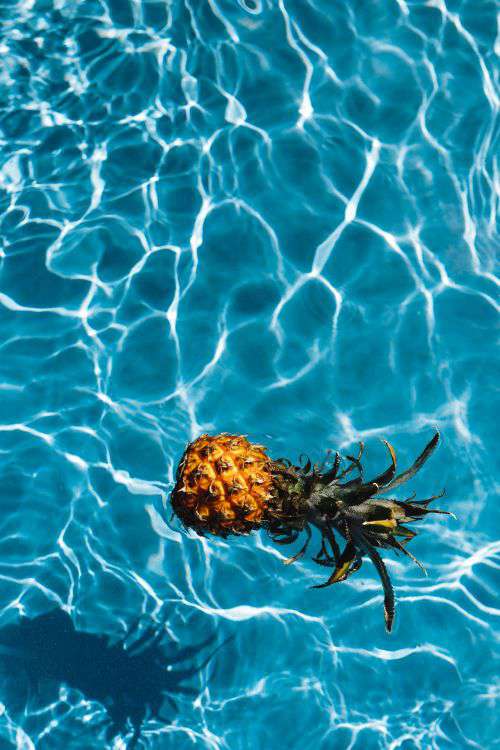 Pineapple in a swimming pool
