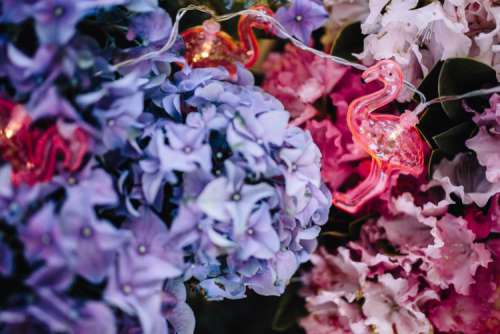 Flamingo light garland & pink flowers