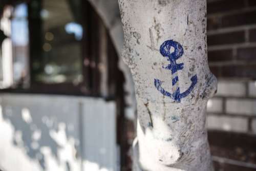 Anchor drawn on the tree, Nessebar, Bulgaria
