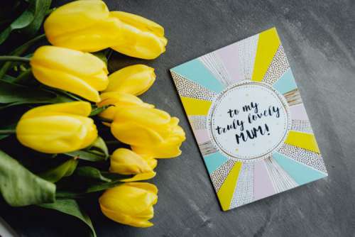 Mother`s Day card with colorful tulip flowers