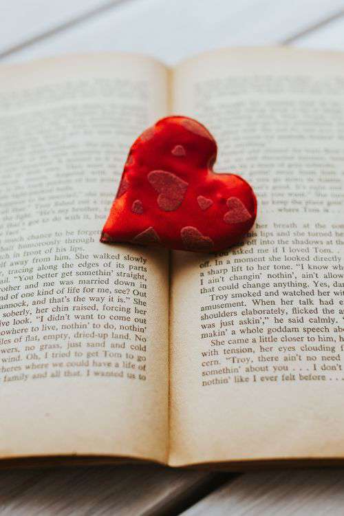 Little red heart with an old book