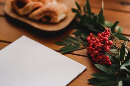 Red rowan fruit with a coffee and a white sheet of paper