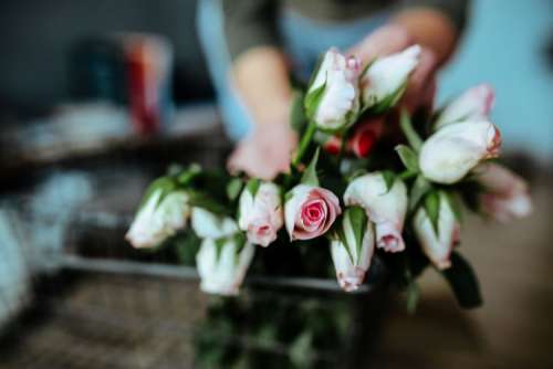 Pink flowers in a metal basket